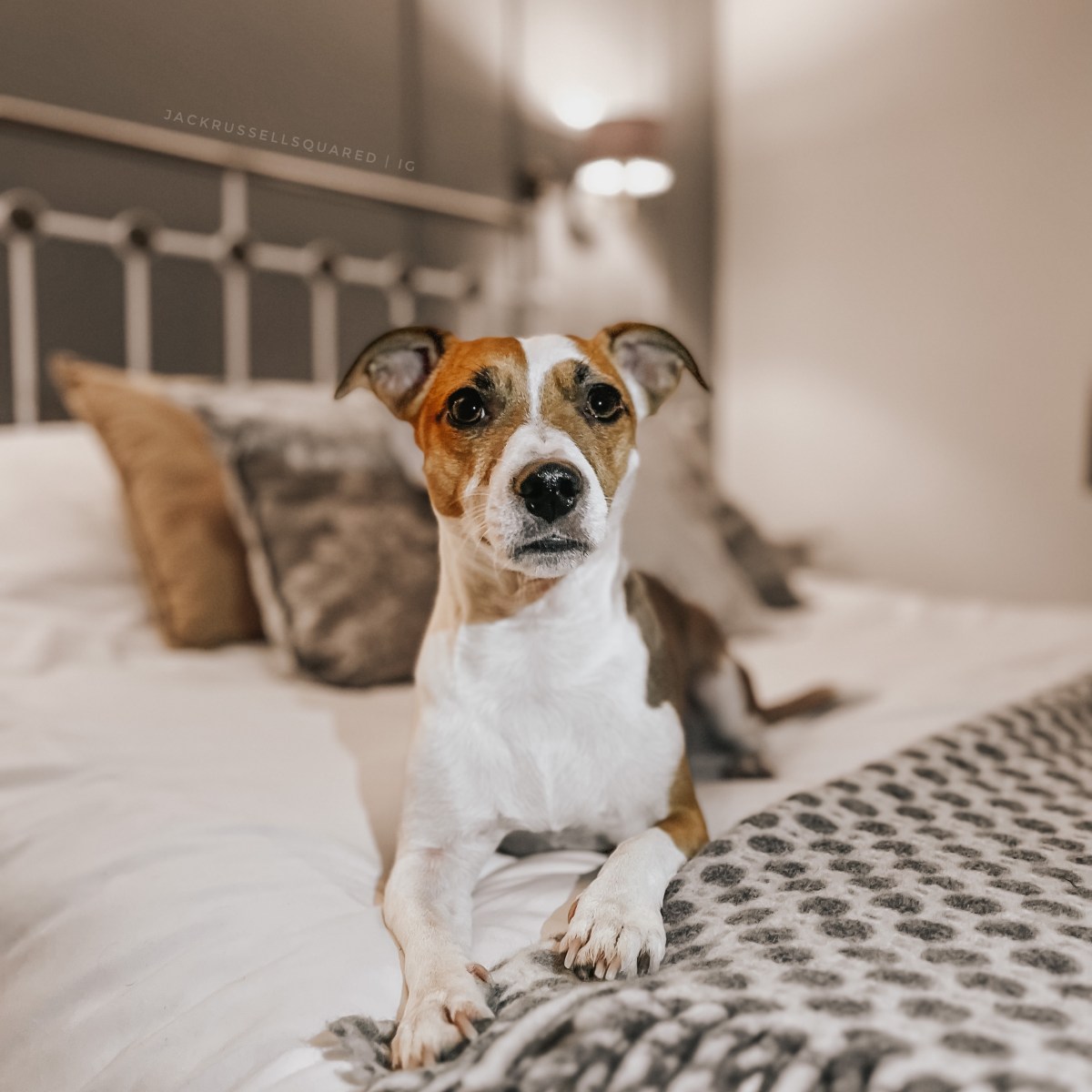 Winter Bliss at The Old Forge Cottage: A Family Retreat in&nbsp;Ross-on-Wye