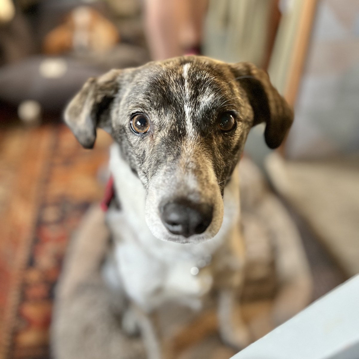 Escape to Serenity: A Cosy Stay at The&nbsp;Hyde